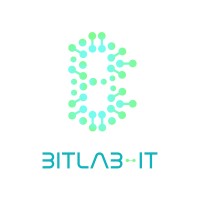 Bitlab-IT logo - Similar company to Vintecdyne