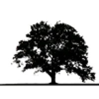 ICS Tree Services logo - Similar company to Studio Nest