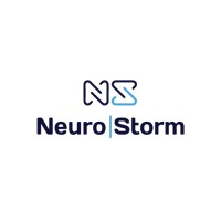 Neurostorm logo - Similar company to Neyon & On