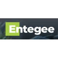 Entegee logo - Similar company to Linear Search