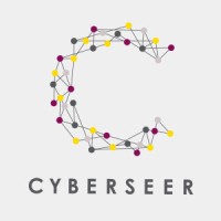 Cyberseer logo - Similar company to Spearpoint Bd