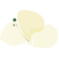 Innerbloom logo - Similar company to Havenhub
