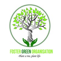 FOSTER GREEN COMMUNITY BASED ORGANISATION logo - Similar company to Weye Green Group