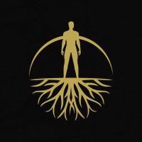 Survivors For Change logo - Similar company to Snowball Properties, Inc.