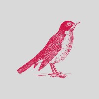 Robin Capital logo - Similar company to Mate