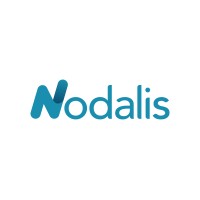Nodalis logo - Similar company to Emic Projects Development