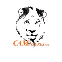 CAMInsures logo - Similar company to Mc Virtual Professionals