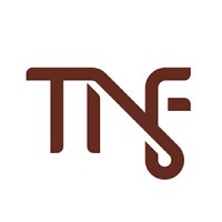 The Nicefoods Fzco logo - Similar company to Interface Services Uae