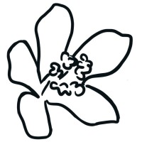 Rooted Femme logo - Similar company to Gennte