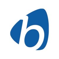 Business Systems International (BSI) logo - Similar company to Firefly Resources Llc