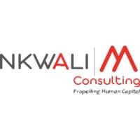 Nkwali M Consulting logo - Similar company to Wibc - Wouldn'T It Be Cool