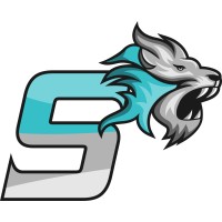 Son Street logo - Similar company to Nstar Group