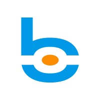 Big Vision logo - Similar company to Sightvision Technologies