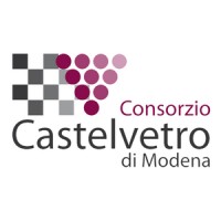 CASTELVETRO DI MODENA Valorizzazione Integrata Territorio Ambiente logo - Similar company to The Wandery Lab