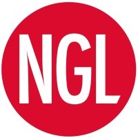 NGL Navigator Global Logistics logo - Similar company to Ntg Gondrand