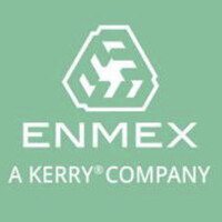 Enmex a Kerry company logo - Similar company to Labcitec S.A. De C.V.
