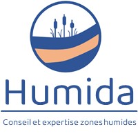 Humida