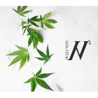 Stellenleaf Med logo - Similar company to Green Engineering Solutions