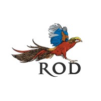 Rely On Dreams logo - Similar company to Hk Xinmo Technology Ltd