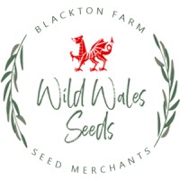 Wild Wales Seeds logo - Similar company to Origin Rewilding Project
