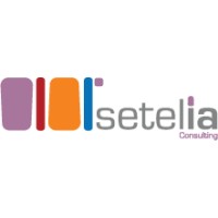 Setelia Consulting logo - Similar company to Setelia