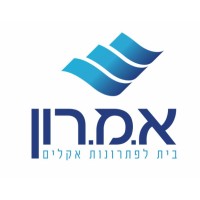 Amron Israel א.מ.רון הנדסת מערכות מיזוג וקירור בע״מ logo - Similar company to Israel Construction
