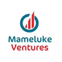 Mameluke Ventures, Llc