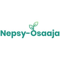 Nepsy-Osaaja Oy logo - Similar company to Nepsy - Novel Electric Propulsion Systems