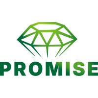 PROMISE Quantum logo - Similar company to Ewave Project