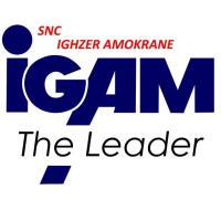 SNC IGHZER AMOKRANE logo - Similar company to Petrogel