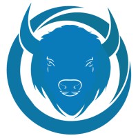 Bisonsoft