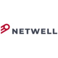 Netwell Ltd logo - Similar company to Depo Computers