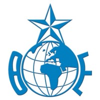 Bluestar Enterprisres logo - Similar company to Director Global Consulting