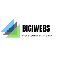 BigiWebs Website Hosting Company logo - Similar company to Digitalawah Agency (Hosting, Website & App Development Company )