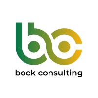 Bock Consulting LLC logo - Similar company to Solid Plan Consulting