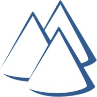 TINS logo - Similar company to Neurodynamics Srl