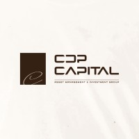 CDP Capital | Management & Investment Group • Mauritius logo - Similar company to +Impact Accelerator