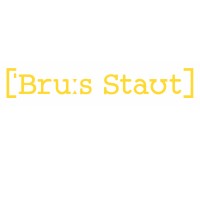 Bruce Stout Financial Translations logo - Similar company to Solutionize