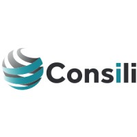 Consili B.V. logo - Similar company to Dynamic No-Break B.V.