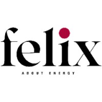 Felix Energy Consulting logo - Similar company to 2Be Fast