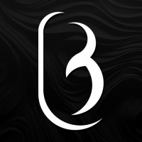 Brid Studios logo - Similar company to Mesh Masters Studio