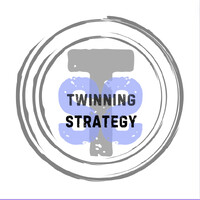 Twinning Strategy logo - Similar company to Wigsuite