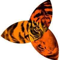 Tigerlily Productions