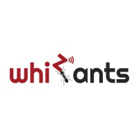 Whizants logo - Similar company to Datafree Technologies