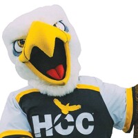 HCC Southwest logo - Similar company to Hcc Computer Science Association (Csa)