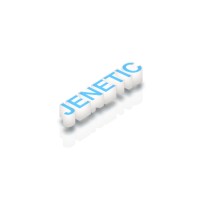Jenetic logo - Similar company to React_Insect