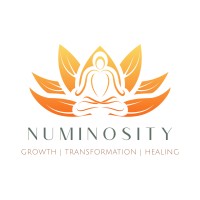 Numinosity logo - Similar company to Coordn8, Inc.