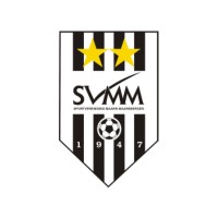 SVMM logo - Similar company to Nextexperience.Nl