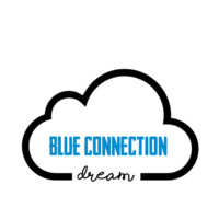 BLUE CONNECTION DREAM logo - Similar company to Blue Wolf