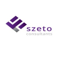 Szeto Viva Loka logo - Similar company to Szeto Accurate Consultants
